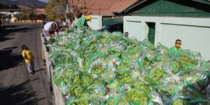 Lee más sobre el artículo Empresa crucina “Pura Hoja” ha donado más de 22 mil lechugas para apoyar hogares de La Cruz